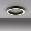 Round Plafonnier Luminaires Paul Neuhaus LED Gris, 1 lumière, Télécommandes