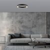 Round Plafonnier Luminaires Paul Neuhaus LED Gris, 1 lumière, Télécommandes