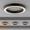 Round Plafonnier Luminaires Paul Neuhaus LED Gris, 1 lumière, Télécommandes
