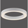 Round Plafonnier Luminaires Paul Neuhaus LED Blanc, 1 lumière, Télécommandes