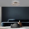 Loop Plafonnier Luminaires Paul Neuhaus LED Bronze, 2 lumières, Télécommandes