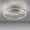 Loop Plafonnier Luminaires Paul Neuhaus LED Bronze, 2 lumières, Télécommandes