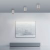 Point Plafonnier Luminaires Paul Neuhaus LED Blanc, 1 lumière