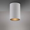 Point Plafonnier Luminaires Paul Neuhaus LED Blanc, 1 lumière