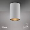 Point Plafonnier Luminaires Paul Neuhaus LED Blanc, 1 lumière