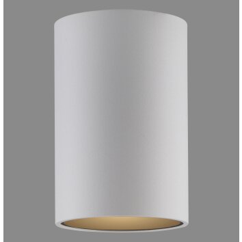 Point Plafonnier Luminaires Paul Neuhaus LED Blanc, 1 lumière