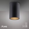Point Plafonnier Luminaires Paul Neuhaus LED Noir, 1 lumière
