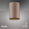 Point Plafonnier Luminaires Paul Neuhaus LED Bronze, 1 lumière