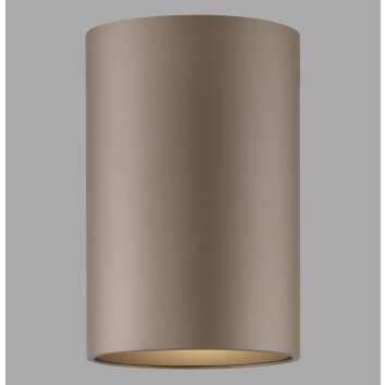 Point Plafonnier Luminaires Paul Neuhaus LED Bronze, 1 lumière