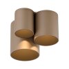 Point Plafonnier Luminaires Paul Neuhaus LED Bronze, 1 lumière