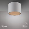 Point Plafonnier Luminaires Paul Neuhaus LED Blanc, 1 lumière
