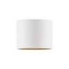 Point Plafonnier Luminaires Paul Neuhaus LED Blanc, 1 lumière