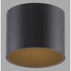 Point Plafonnier Luminaires Paul Neuhaus LED Noir, 1 lumière