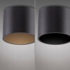 Point Plafonnier Luminaires Paul Neuhaus LED Noir, 1 lumière