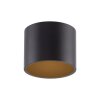 Point Plafonnier Luminaires Paul Neuhaus LED Noir, 1 lumière