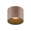 Point Plafonnier Luminaires Paul Neuhaus LED Bronze, 1 lumière