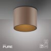 Point Plafonnier Luminaires Paul Neuhaus LED Bronze, 1 lumière
