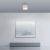 Manhattan Plafonnier Luminaires Paul Neuhaus LED Pierre, 1 lumière, Télécommandes