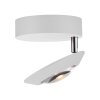 Oculis Plafonnier Luminaires Paul Neuhaus LED Blanc, 1 lumière