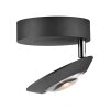 Oculis Plafonnier Luminaires Paul Neuhaus LED Noir, 1 lumière