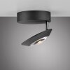 Oculis Plafonnier Luminaires Paul Neuhaus LED Noir, 1 lumière