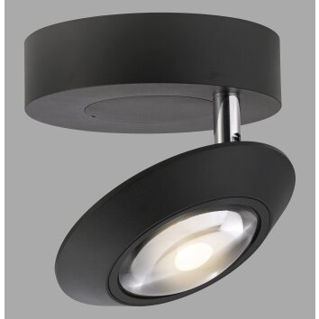 Oculis Plafonnier Luminaires Paul Neuhaus LED Noir, 1 lumière