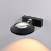 Oculis Applique murale Luminaires Paul Neuhaus LED Noir, 2 lumières