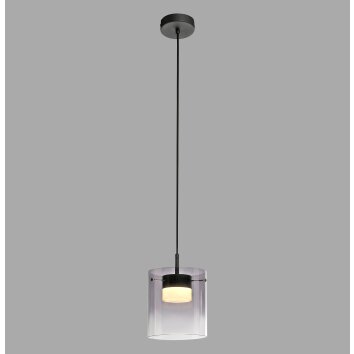 ELIO Suspension Luminaires Leuchten Direkt LED Noir, 1 lumière