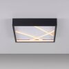 MIKADO Plafonnier Luminaires Leuchten Direkt LED Noir, 1 lumière