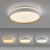 MIO Plafonnier Luminaires Leuchten Direkt LED Sable, 1 lumière, Télécommandes