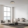 HANNI Plafonnier Luminaires Leuchten Direkt LED Noir, 1 lumière