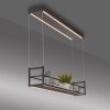 SONTURA Suspension Luminaires Leuchten Direkt LED Noir, 2 lumières