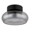 Carlene Plafonnier Luminaires Globo Lighting LED Noir, 1 lumière