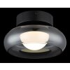 Carlene Plafonnier Luminaires Globo Lighting LED Noir, 1 lumière