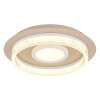 Zara Plafonnier Luminaires Globo Lighting LED Sable, Blanc, 1 lumière