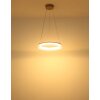 Zara Suspension Luminaires Globo Lighting LED Sable, 1 lumière