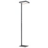Barker Lampadaire Luminaires Globo Lighting LED Anthracite, 1 lumière