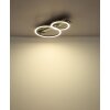 Norberto Plafonnier Luminaires Globo Lighting LED Noir, Argenté, 1 lumière
