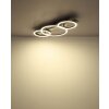 Norberto Plafonnier Luminaires Globo Lighting LED Noir, Argenté, 1 lumière