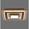 TOLA Plafonnier Luminaires Leuchten Direkt LED Brun, Noir, 2 lumières