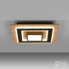 TOLA Plafonnier Luminaires Leuchten Direkt LED Brun, Noir, 2 lumières