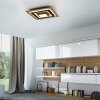 TOLA Plafonnier Luminaires Leuchten Direkt LED Brun, Noir, 2 lumières