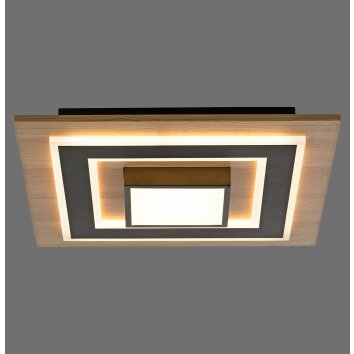 TOLA Plafonnier Luminaires Leuchten Direkt LED Brun, Noir, 2 lumières
