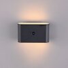 ZIDDY Applique murale Luminaires Leuchten Direkt LED Noir, 2 lumières, Détecteur de mouvement