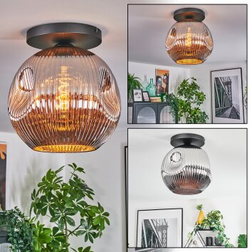 Ripoll Plafonnier, Boule lumineuse Chrome, Fumé, 1 lumière