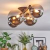Chehalis Plafonnier, Boule lumineuse Chrome, Fumé, 4 lumières