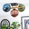 Chehalis Plafonnier, Boule lumineuse Or, Noir, 3 lumières