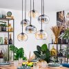 Apedo Suspension, Suspension Ambre, Clair, Fumé, 6 lumières
