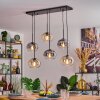 Apedo Suspension, Suspension Ambre, Clair, Fumé, 6 lumières