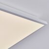 Raimea Plafonnier, Panel LED Blanc, 1 lumière